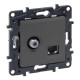 Розетка комбінована RJ45+TV, CAT6 UTP, колір Сталь, NILOE STEP 863477