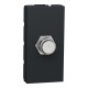 Розетка Coaxial F-type, 1 модуль антр, NU346854