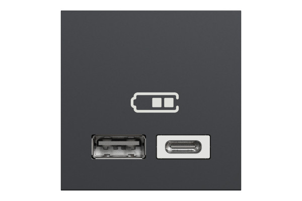 Розетка USB 2.0 зарядна подвійна, 2.4А,  A+C, 2 модуля, антрацит, Unica NEW NU301854